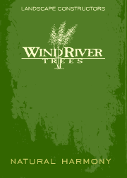 Nobile flora and Wind River Tree Logo